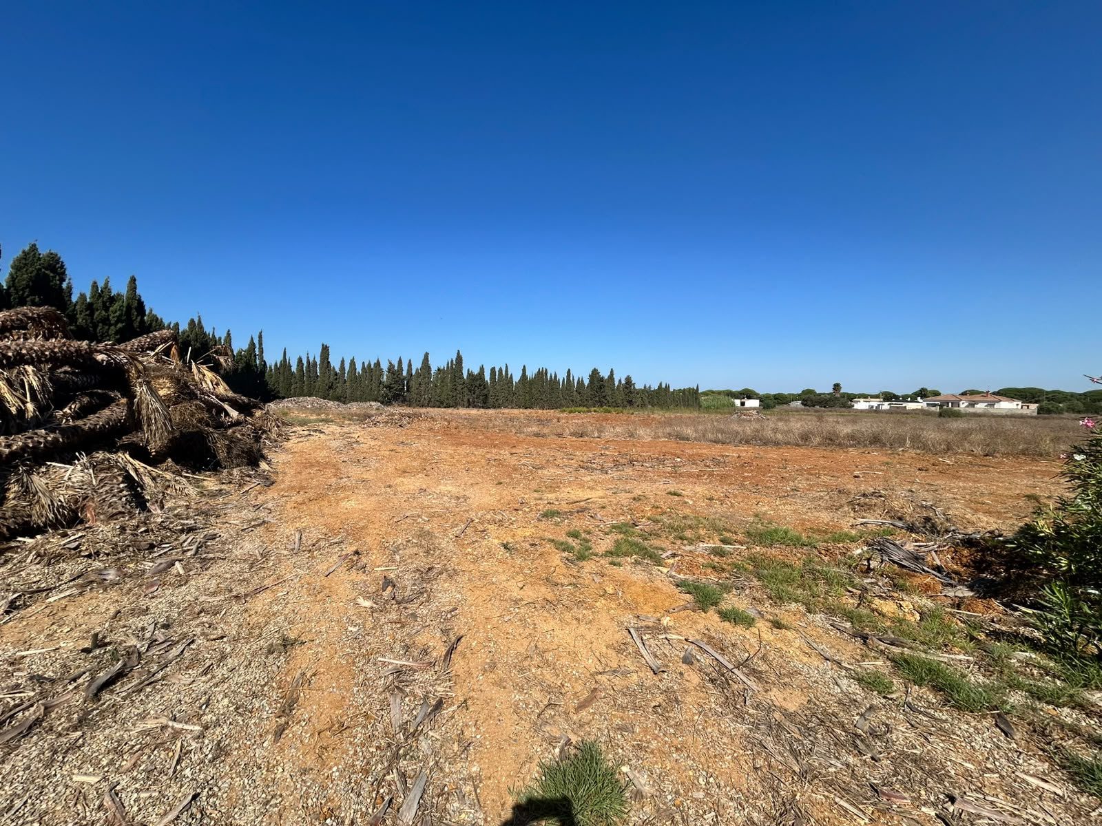 Complejo rural en Conil · imagen 23