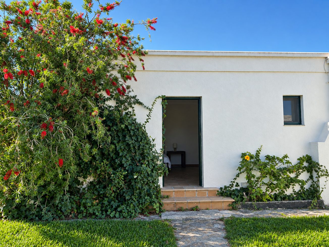 Complejo rural en Conil · imagen 45
