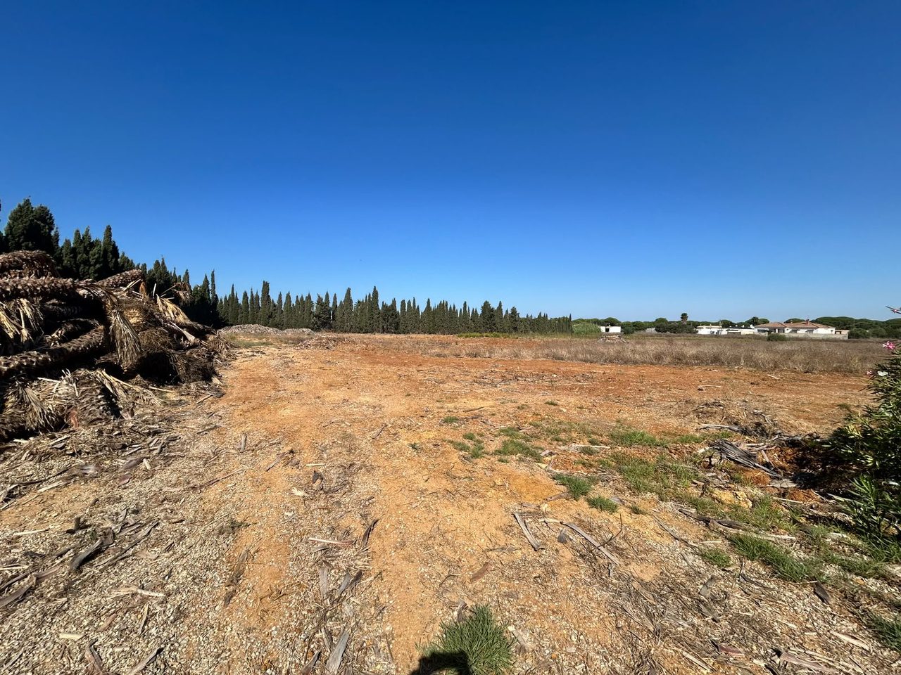 Complejo rural en Conil · imagen 55