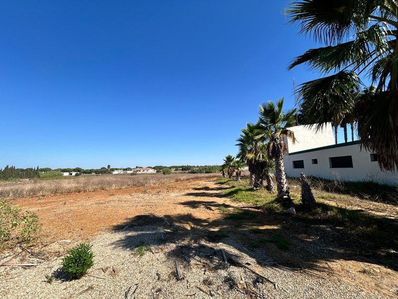 Complejo rural en Conil · imagen 56